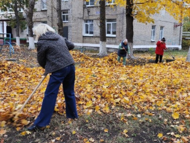 31 октября 2024 года педагоги и техперсонал собрались вместе, чтобы провести традиционный осенний субботник..